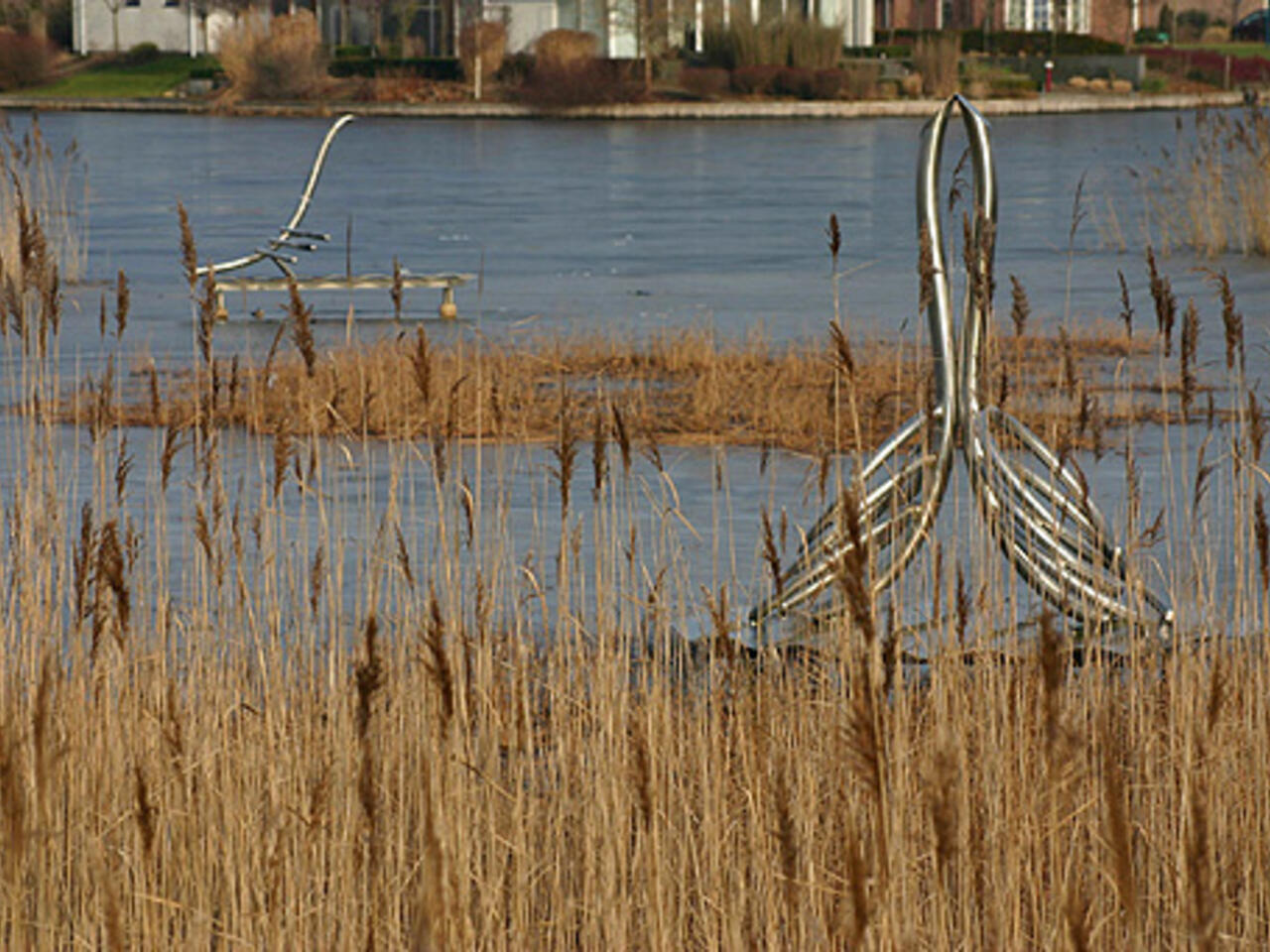 Kotermeerstal, Dedemsvaart Kotermeestal, Dedemsvaart.jpg