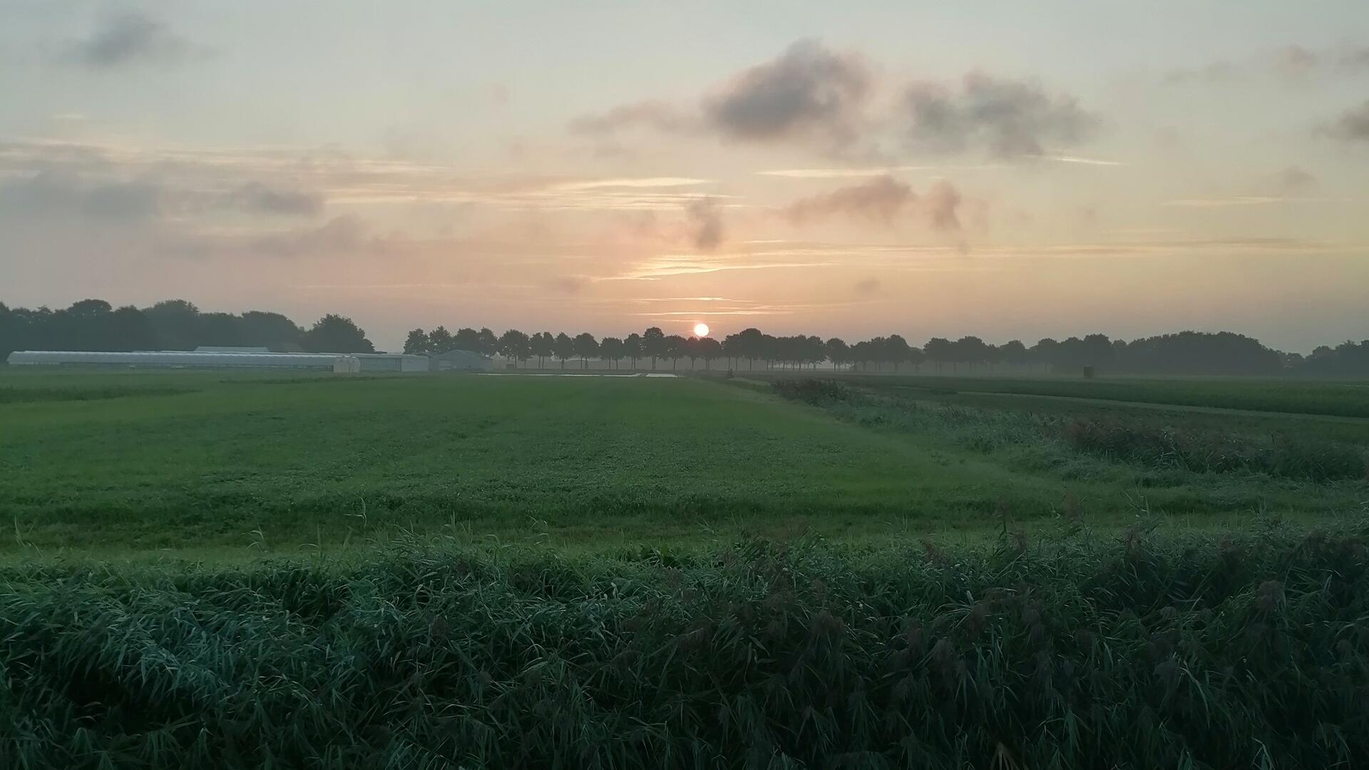 Dedemsvaart
