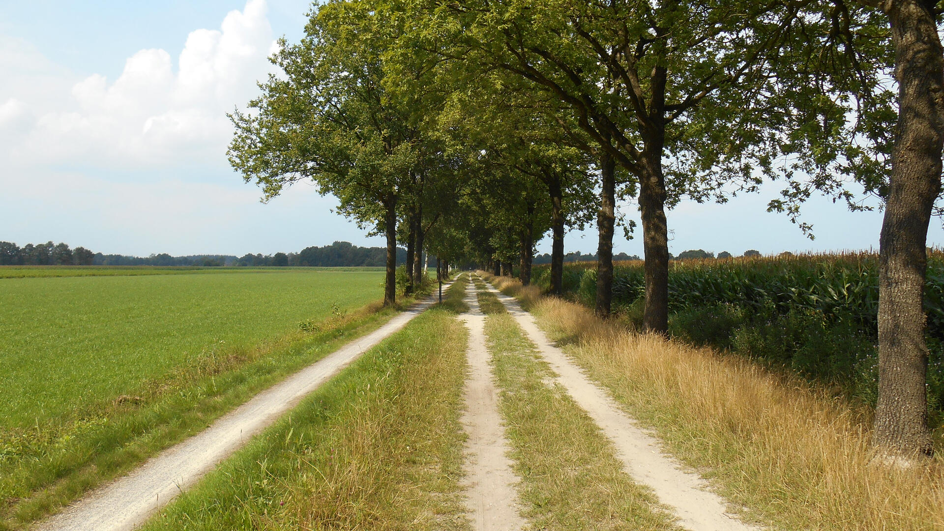 DSCN3220.JPG